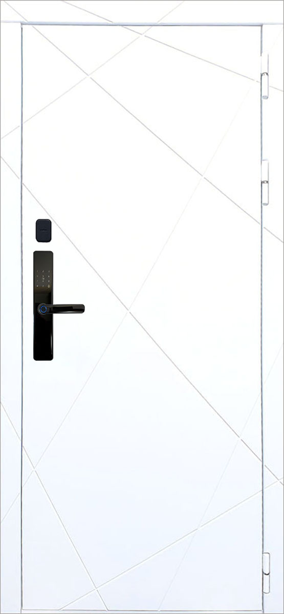 Входная металлическая дверь в квартиру Акрон 100