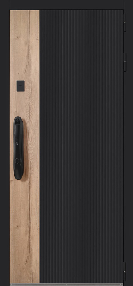 Входная дверь с зеркалом в квартиру (биометрический замок) Стандарт 79